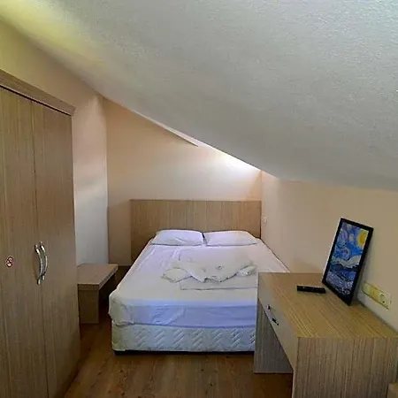 Hotel Arda 3*
